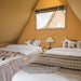 Safari Tent Equinox II by Luna Glamping interior front left view with two beds and a lamp