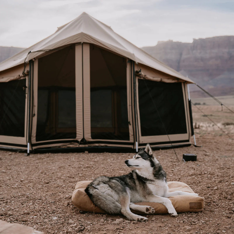 White Duck Altimus 14' Canvas Bell Tent