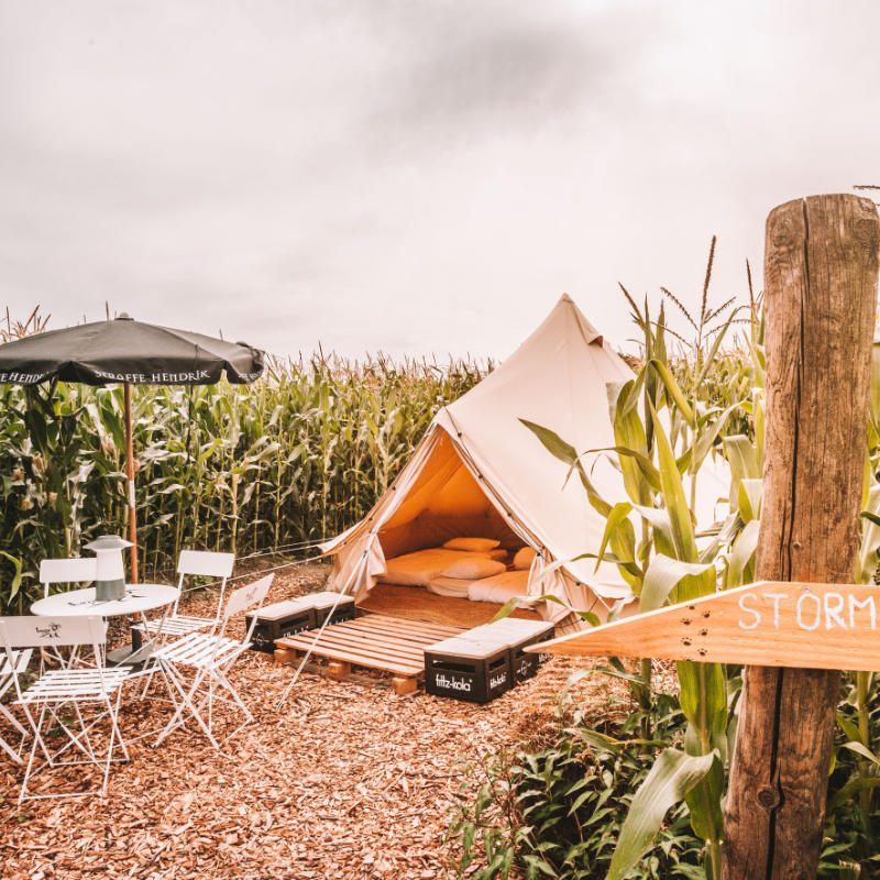 Yurt Tent Sibley Ultimate 450 by Canvas Camp front left view in cornfield on wood chips at campsite