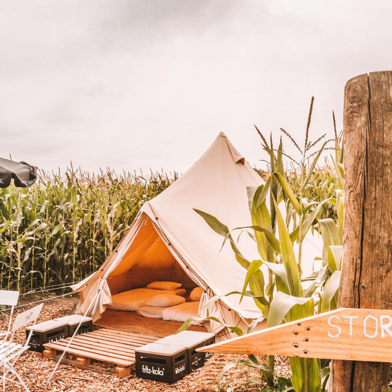 Yurt Tent Sibley Ultimate 450 by Canvas Camp in cornfield on wood chips at campsite